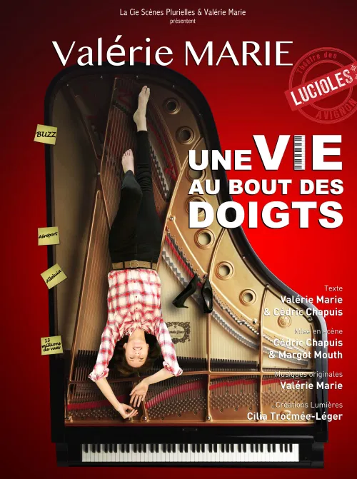 Affiche de Une vie au bout des doigts