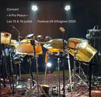 À pro peaux , concert percussions - 