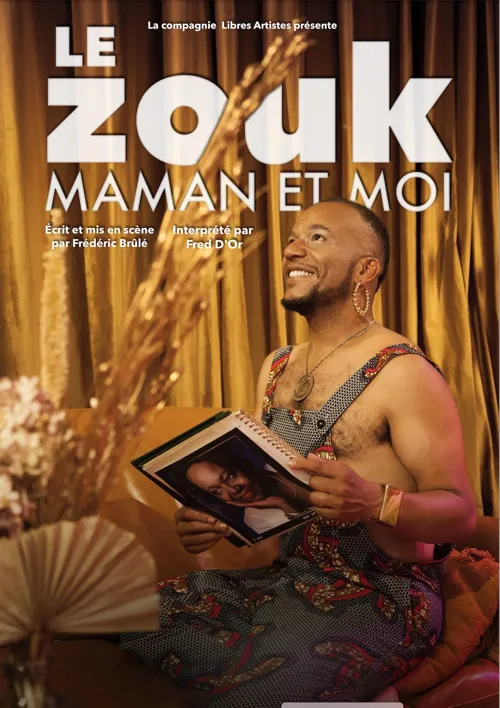 Affiche de Fred d'Or dans Le zouk, maman et moi