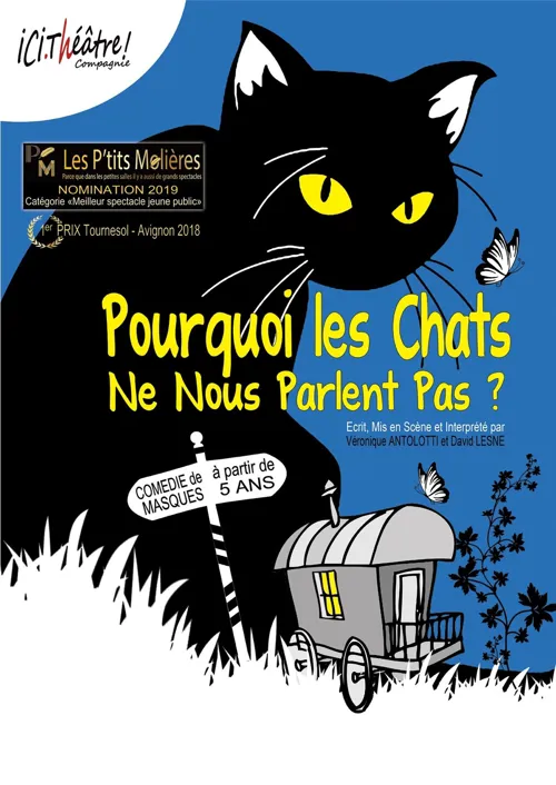 Affiche de Pourquoi les chats ne nous parlent pas ?