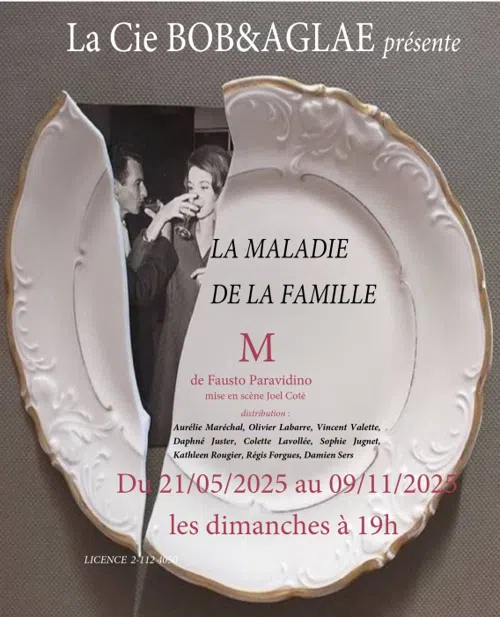Affiche de La maladie de la famille M