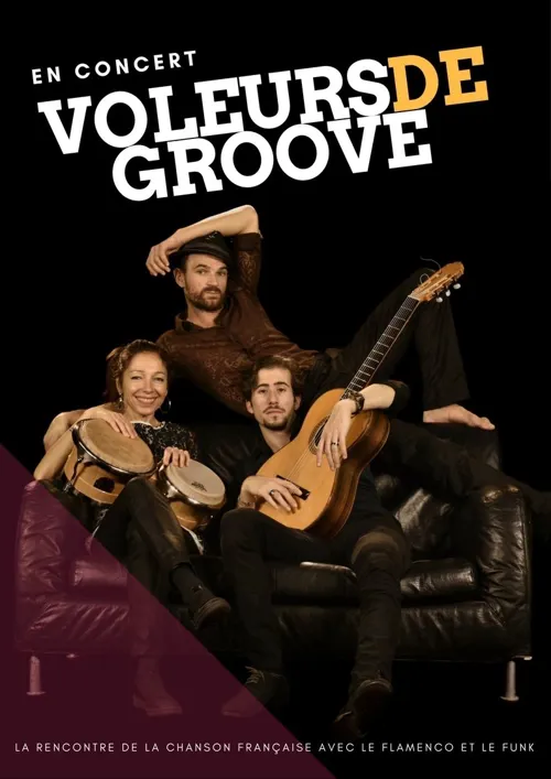 Affiche de Voleurs De Groove