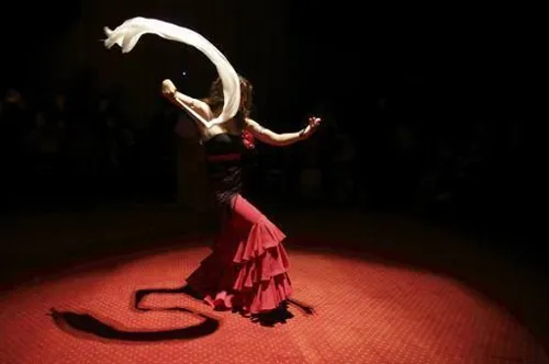 Photo 4 de Flamenco à Paris