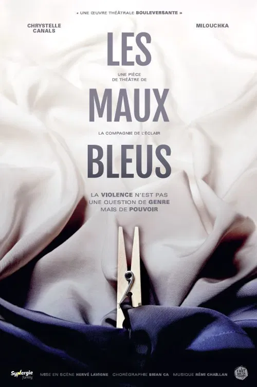 Affiche de Les Maux Bleus
