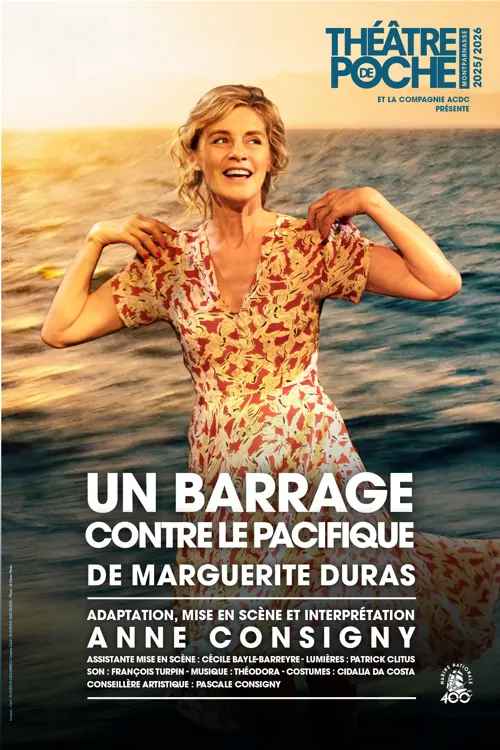 Affiche de Un barrage contre le Pacifique
