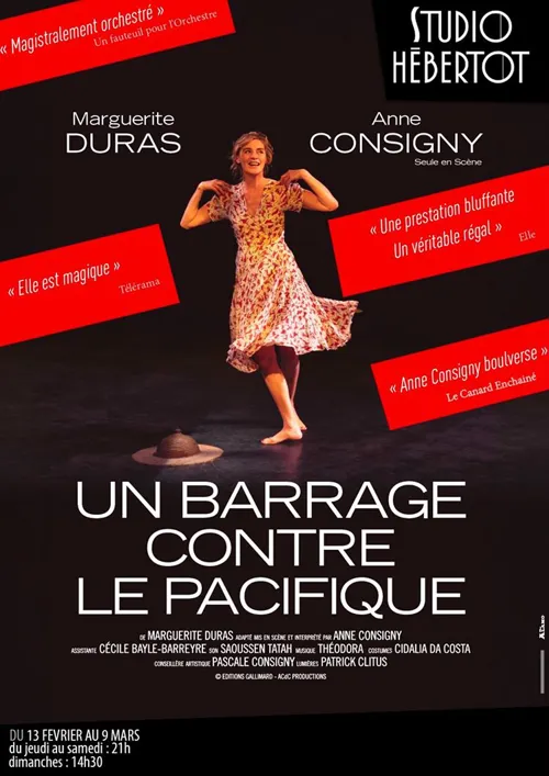 Affiche de Un barrage contre le Pacifique | avec Anne Consigny