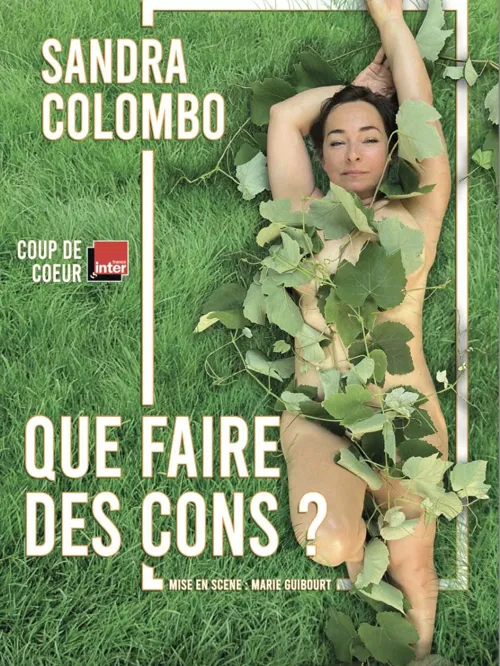 Affiche de Sandra Colombo dans Que faire des cons ?