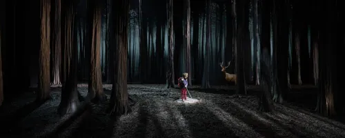Photo 3 de Le bruit des loups