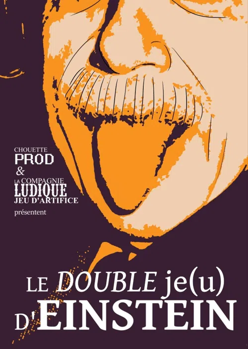 Affiche de Le double Je(u) d'Einstein