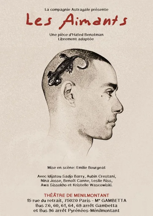 Affiche de Les Aimants