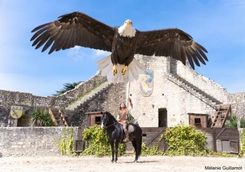 Photo 1 de Les Aigles des Remparts