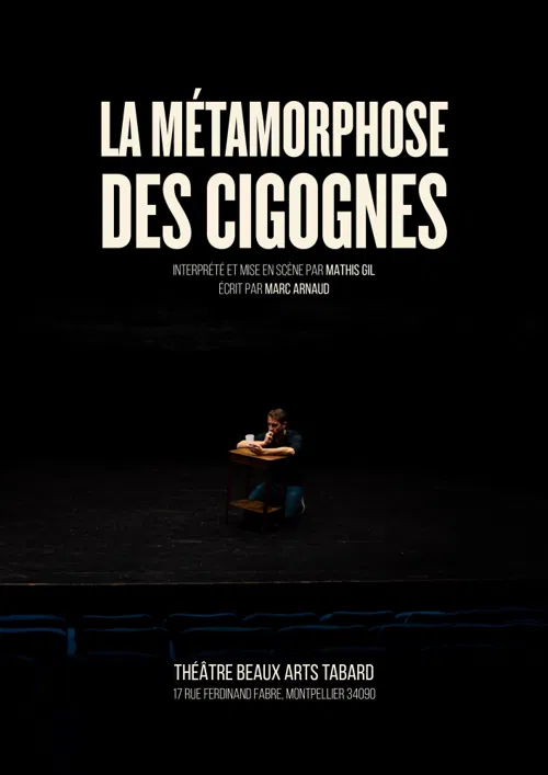 Affiche de La Métamorphose des cigognes