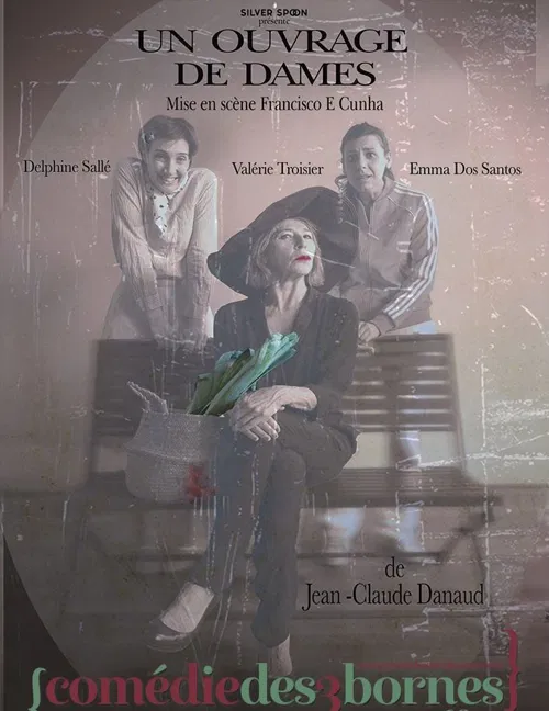Affiche de Un ouvrage de dames