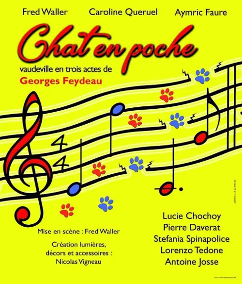 Affiche de Chat en poche