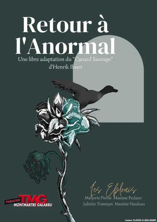 Affiche de Retour à l'anormal