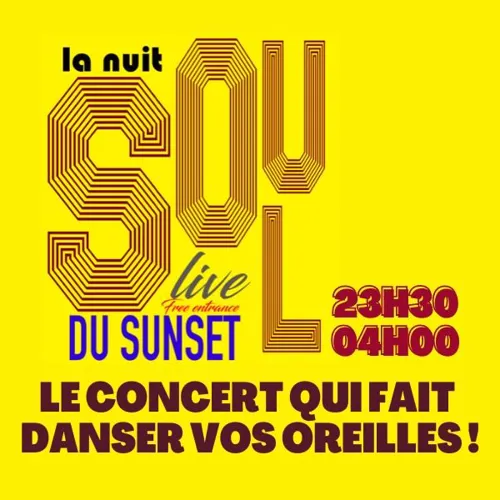Affiche de Les Nuits Soul avec The Honnet Brothers