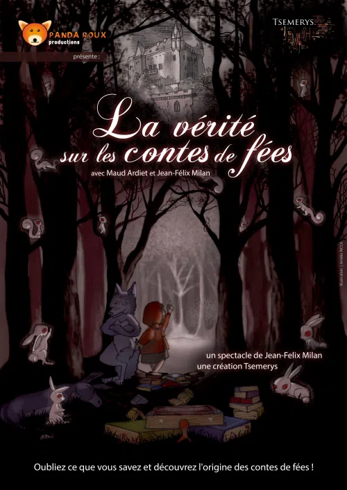 Affiche de La vérité sur les contes de fées