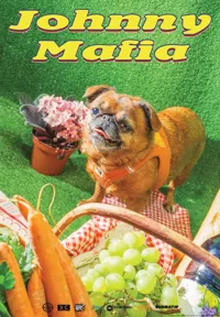 Johnny Mafia + Gurl + Louis La Flemme - 