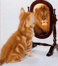 Atelier : Développer la confiance en soi - 