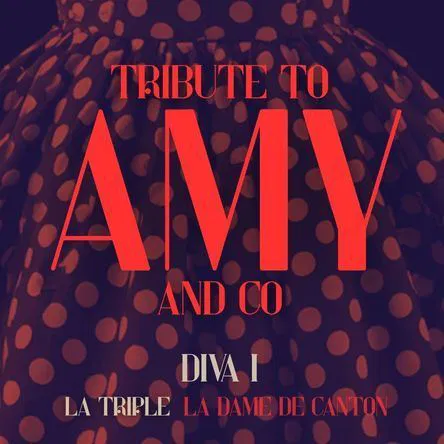 Affiche de Tribute to Amy and Co
