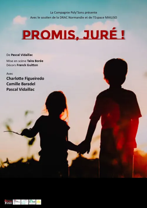 Affiche de Promis, juré !