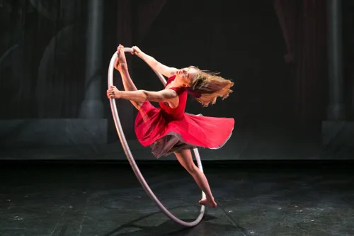 Photo 2 de Le Cirque Eloize dans Cirkopolis