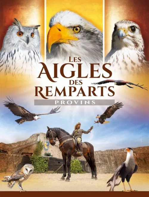 Affiche de Les Aigles des Remparts
