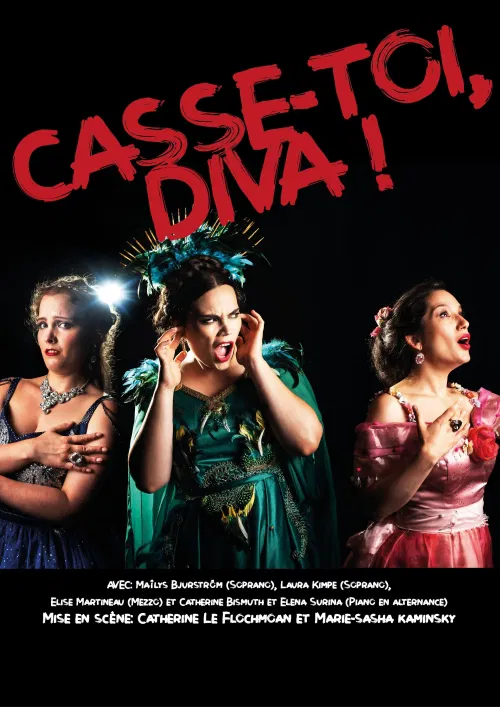 Affiche de Casse-toi, Diva !