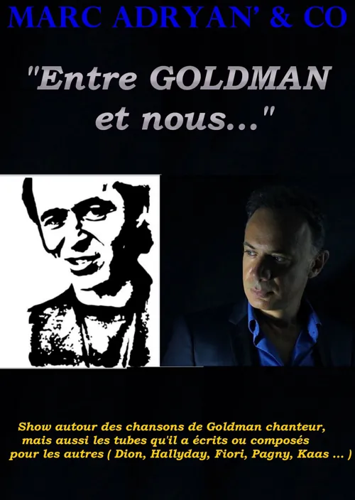 Affiche de Entre Goldman et nous...