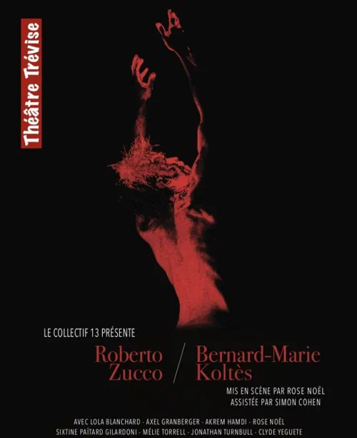 Affiche de Roberto Zucco