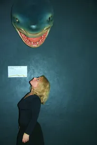 J'ai une grande vitalité comme un requin du Groenland - 