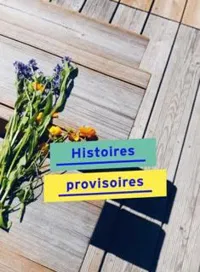 Histoires provisoires - 