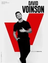 David Voinson - 