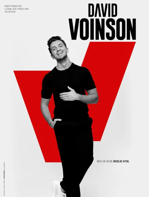 Affiche de David Voinson