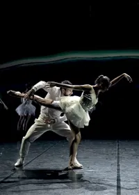 Le lac des cygnes - 