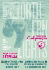 Northern Lights - 