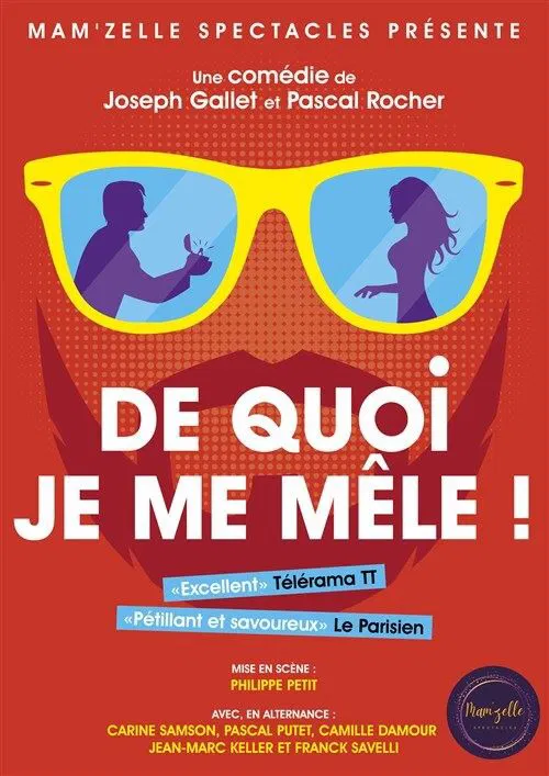 Affiche de De quoi je me mêle