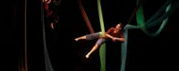 Il y a une fille dans mon arbre - 