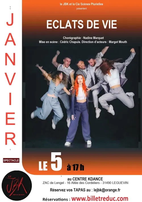 Affiche de Éclats de vie