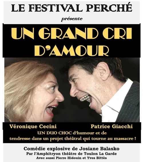 Affiche de Un grand cri d'amour
