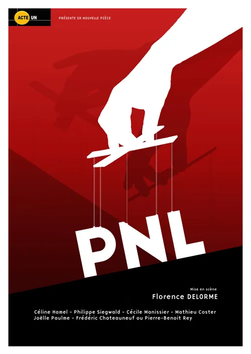 Affiche de PNL