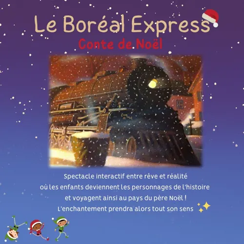 Affiche de Le borréal express