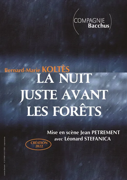 Affiche de La nuit juste avant les forêts