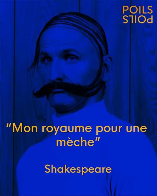 Photo 4 de Poils