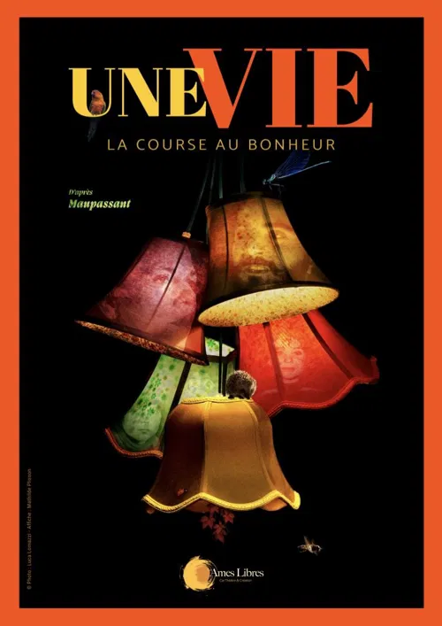 Affiche de Une vie, la course au bonheur