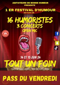 Festival Tout un foin | Pass vendredi - 