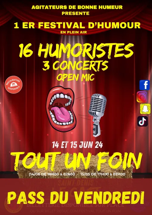 Affiche de Festival Tout un foin | Pass vendredi