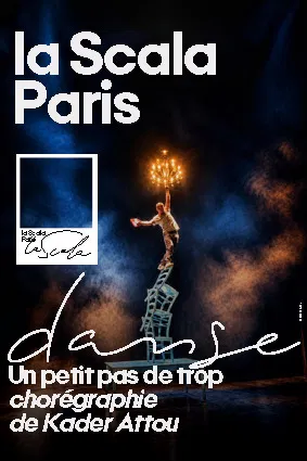 Affiche de Un petit pas de trop