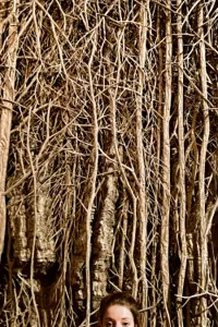 Violence Forest - 