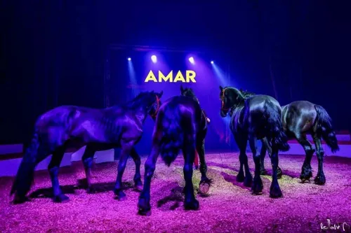 La cavalerie du Cirque AMAR